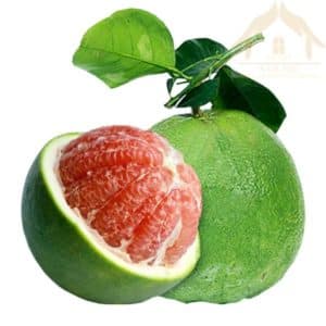 BƯỞI DA XANH