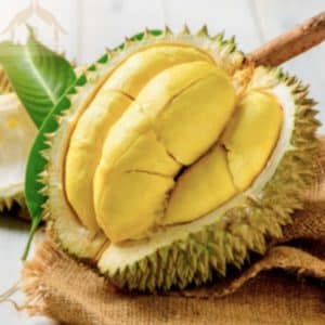 SẦU RIÊNG