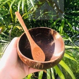 SẢN PHẨM DỪA TỰ NHIÊN